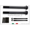 FIAT 500 ABARTH ( set 10 pezzi )  bullone Ø 10mm