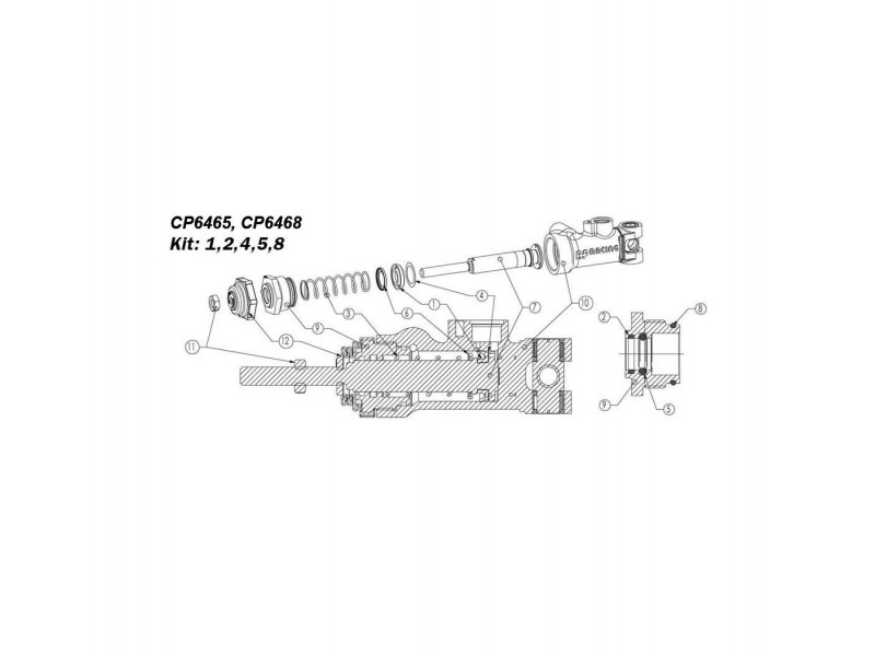 KIT REVISIONE AP RACING CP6465 - CP6468 - Ø 21,8 MM