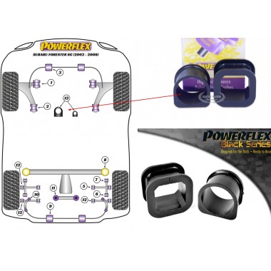 SUBARU - FORESTER SG (2002>2008) (KIT 1 PEZZO)