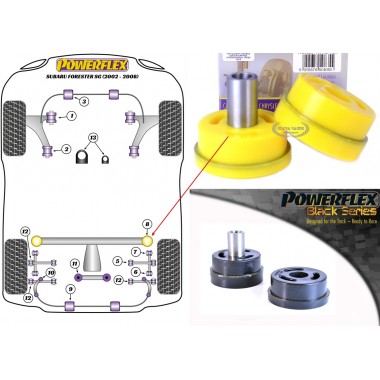 SUBARU - FORESTER SG (2002>2008) (KIT 1 PEZZO)